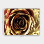 Wallity Lienzo decorativo Multicolor 70 x 100 cm